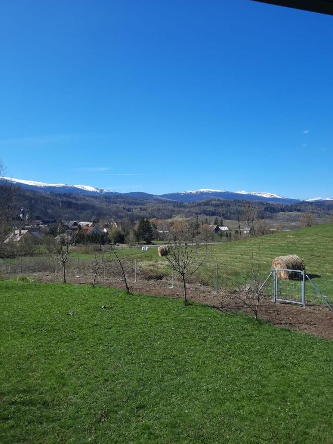 Arnikowa Widokowka Villa Sosnówka Buitenkant foto